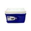 Picture of Princeware Ice Box 3407/ 6 L