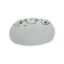 Picture of Porcelain Square Flat Plate 810/ 10.5''