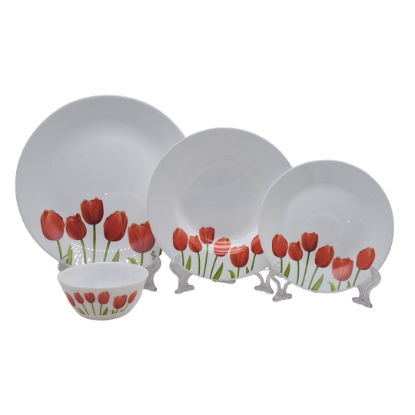 Picture of LaOpala Tulip Garden Plate Set of 24 Pieces 