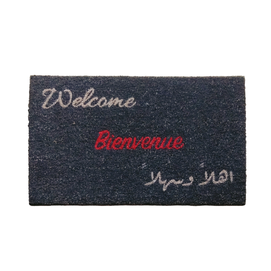 Picture of Door mat 650 NAD/45*75cm