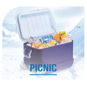 Picture for category Picnic