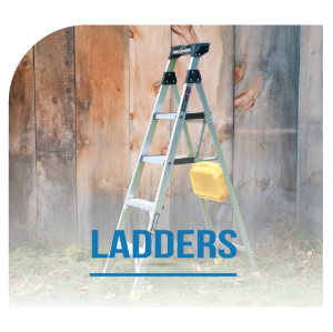 Picture for category Ladders