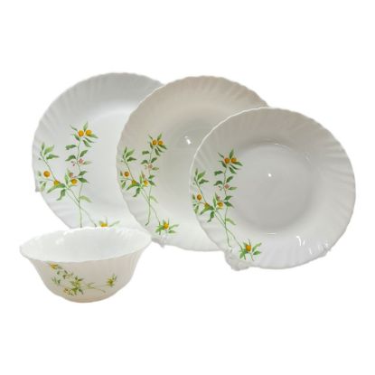 Picture of LaOpala Vivid Greens Plate Set of 24 Pieces 