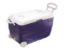 Picture of Princeware Ice Box 3487/50L