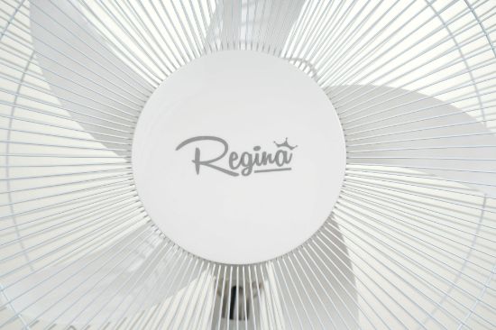 Picture of Regina Rehargebale Stand Fan 1630/16"