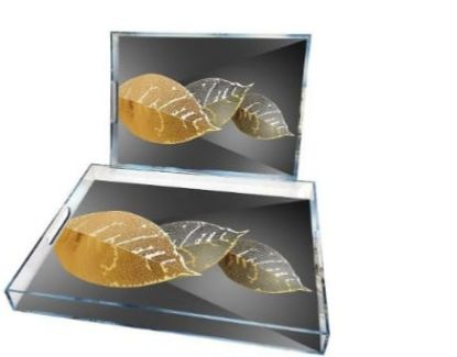 Picture of Set Rec Plexi Tray LEAFS/AY171
