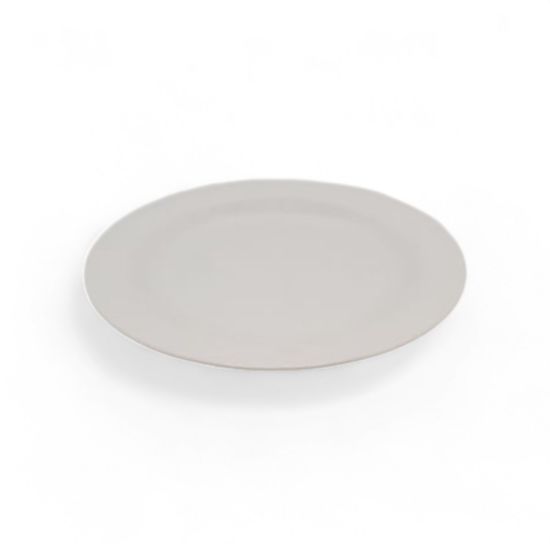 Picture of HPP007/10" ROUND PLATE